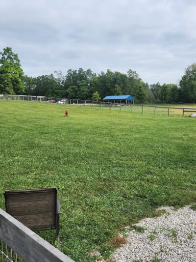 Johnstown (OH) Dog Park - Johnstown, OH