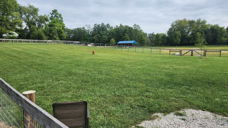 Johnstown (OH) Dog Park - Johnstown, OH