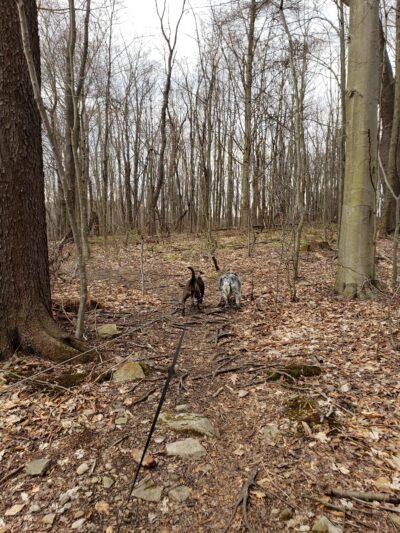 Highland Regional Park - Johnstown, PA
