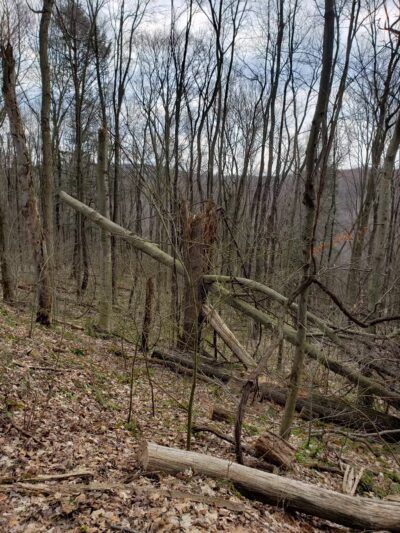 Highland Regional Park - Johnstown, PA