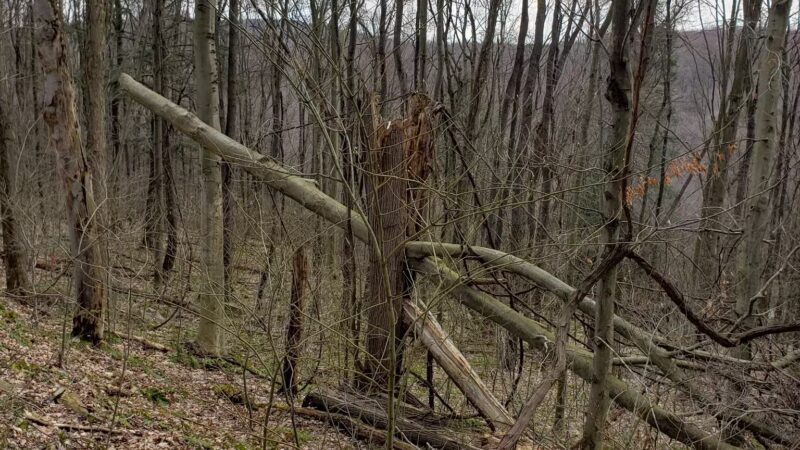 Highland Regional Park - Johnstown, PA
