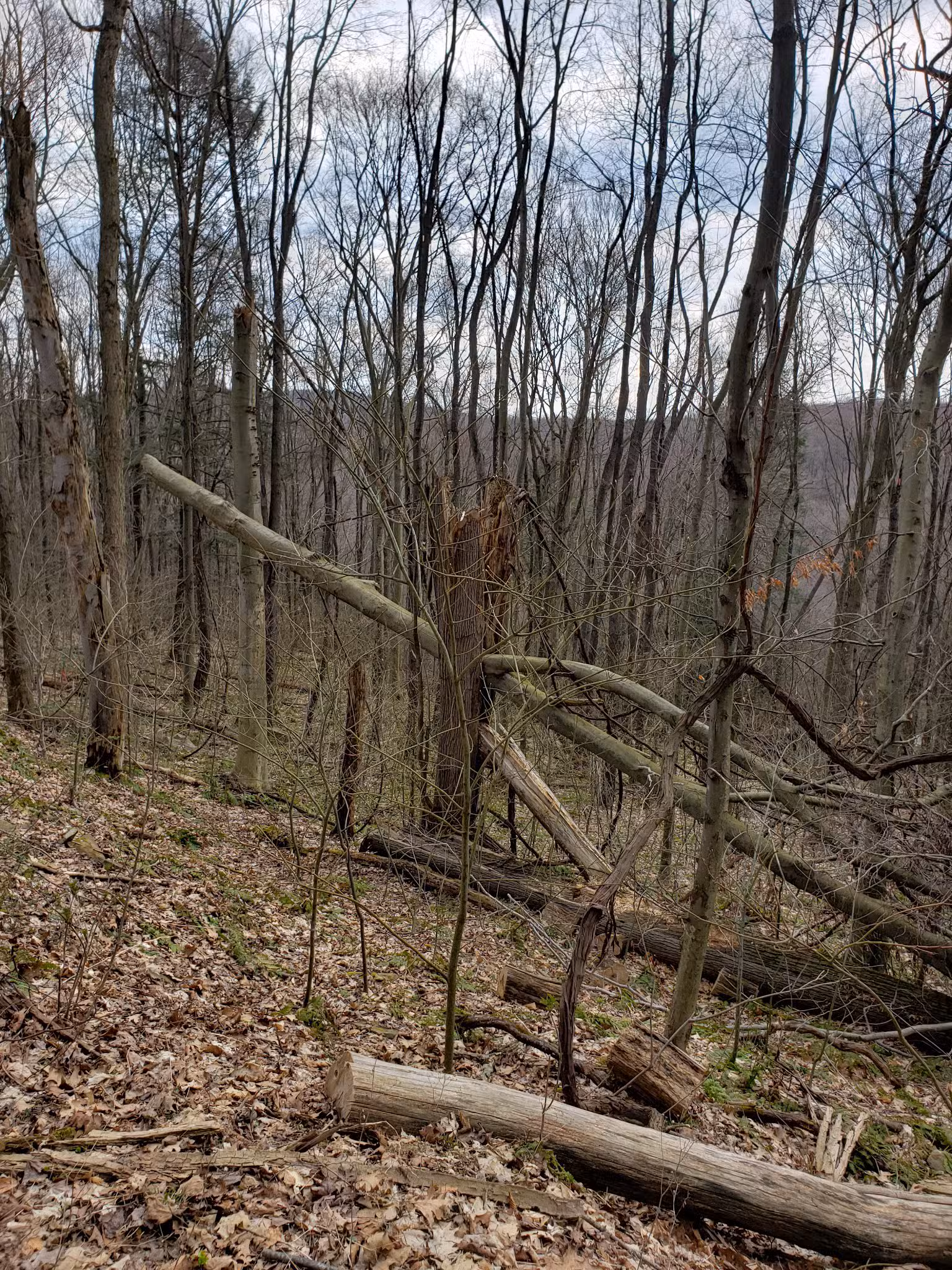 Highland Regional Park - Johnstown, PA