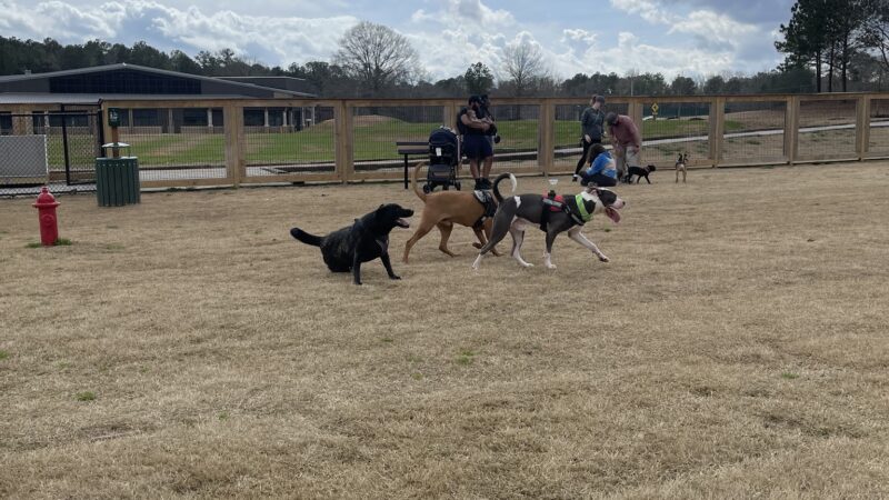 Bark Park - International Park - Jonesboro, GA