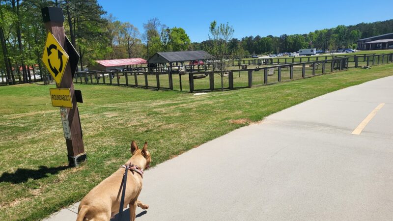 Bark Park - International Park - Jonesboro, GA
