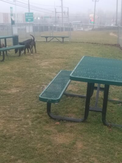 Dog Park at Love's Travel Stops - Jonestown, PA