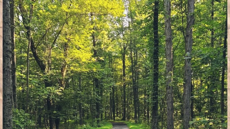Lebanon Valley Rail Trail - Jonestown, PA