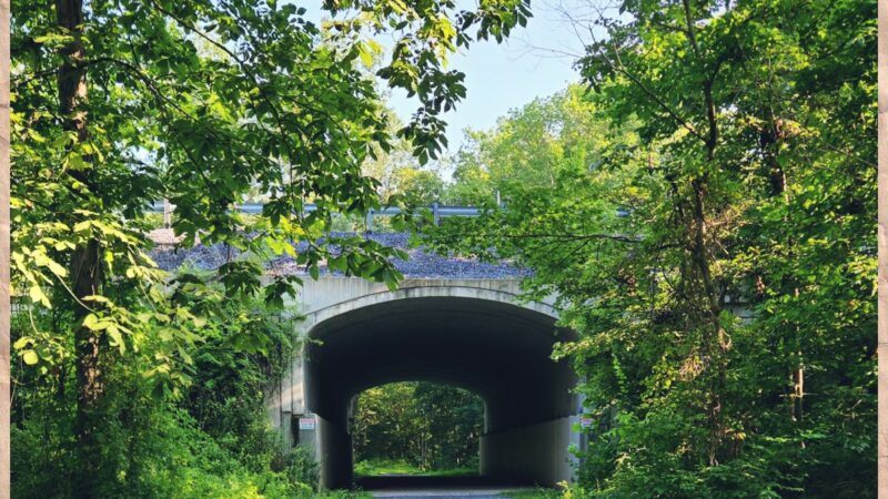 Lebanon Valley Rail Trail - Jonestown, PA
