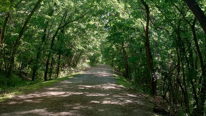 Frisco Greenway Trail - St. Louis Trailhead - Joplin, MO