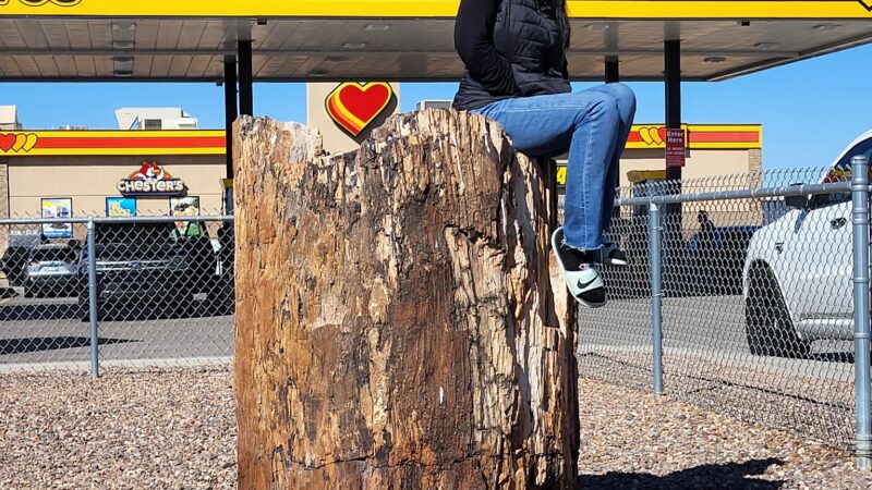 Dog Park at Love's Travel Stops - Joseph City, AZ