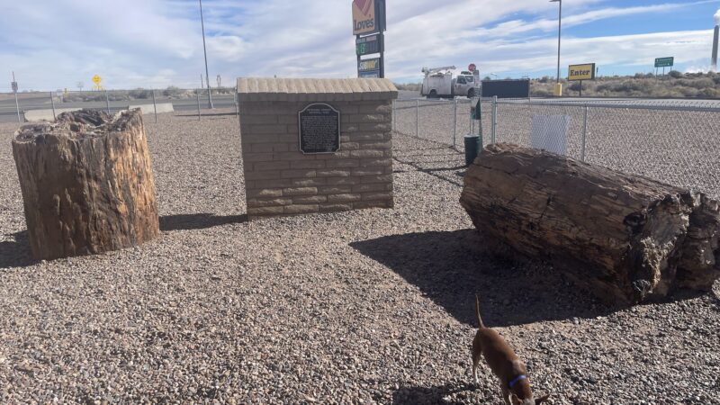 Dog Park at Love's Travel Stops - Joseph City, AZ