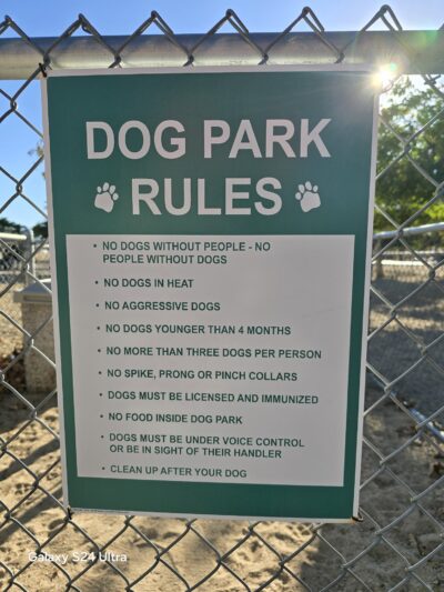 Dog Park - Joshua Tree, CA