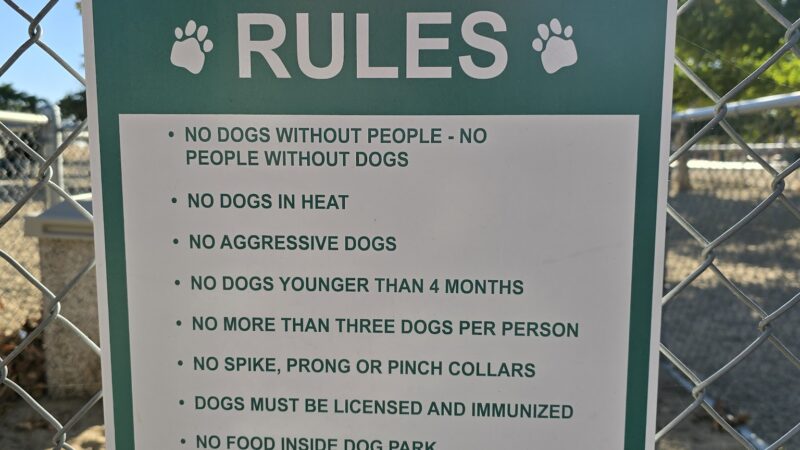 Dog Park - Joshua Tree, CA