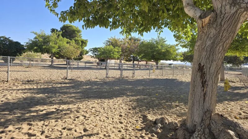 Dog Park - Joshua Tree, CA