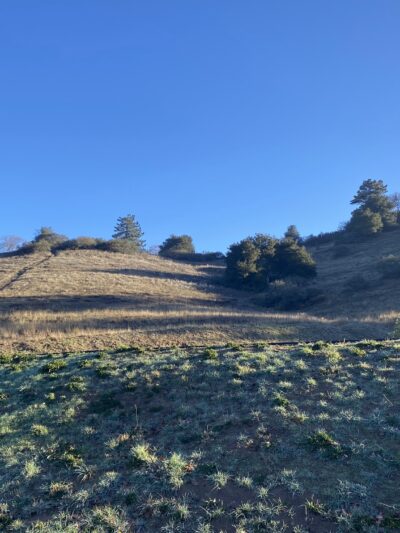 Jess Martin County Park - Julian, CA