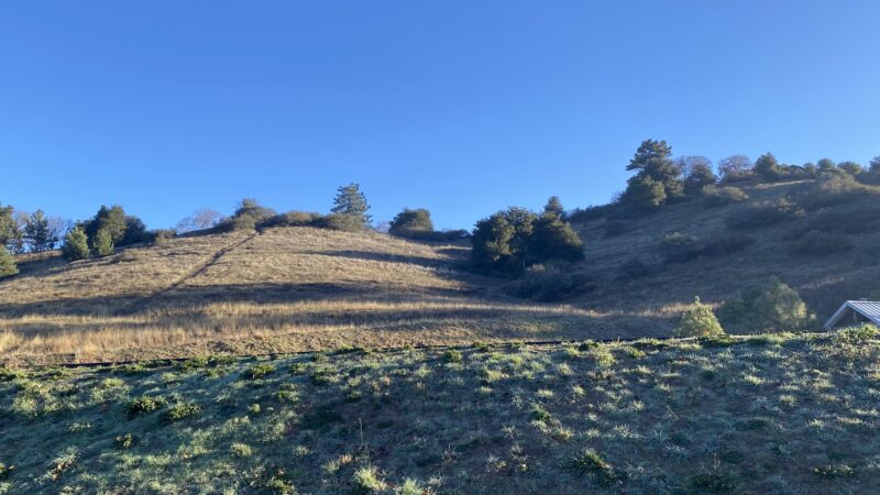 Jess Martin County Park - Julian, CA
