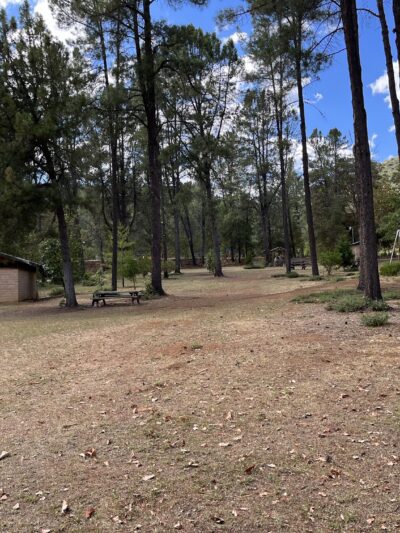 Junction City Park - Junction City, CA