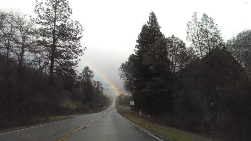 Junction City Park - Junction City, CA