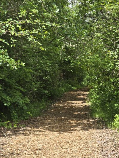 East Kirk Park - Junction City, OR