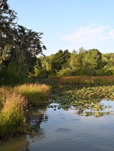 East Kirk Park - Junction City, OR