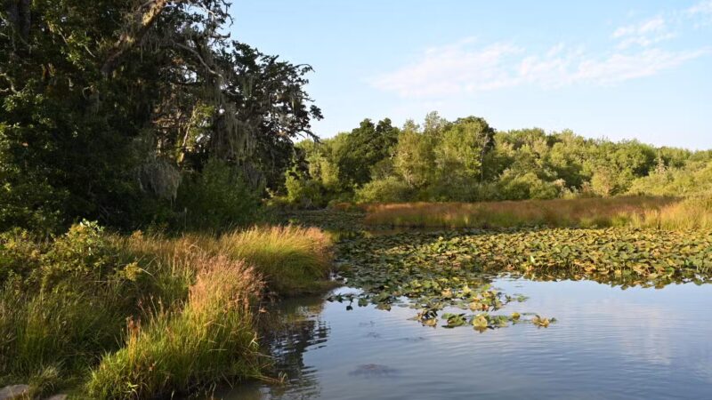 East Kirk Park - Junction City, OR