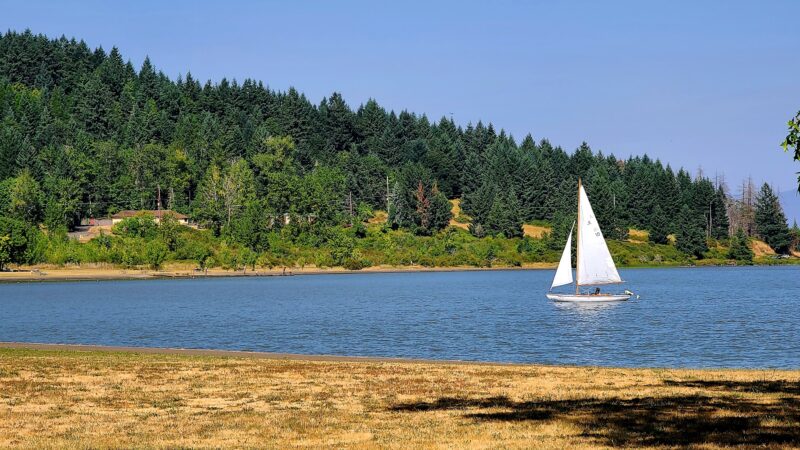 Richardson Park - Junction City, OR