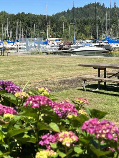 Richardson Park - Junction City, OR