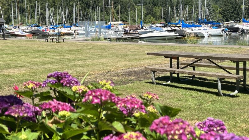 Richardson Park - Junction City, OR