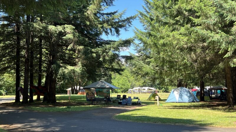 Richardson Park - Junction City, OR