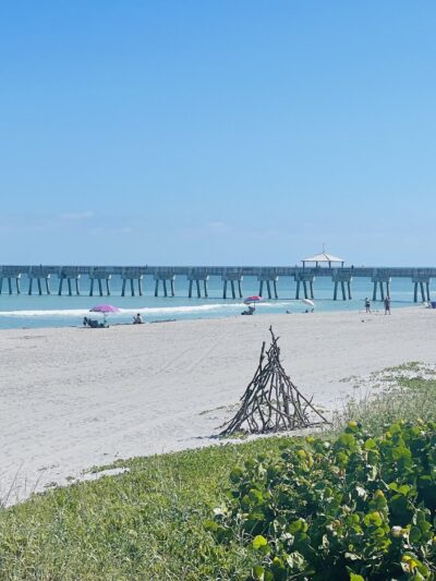 Dog beach - Jupiter, FL