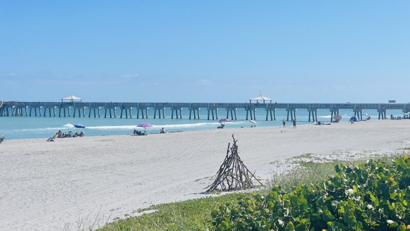 Dog beach - Jupiter, FL