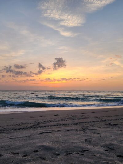 Dog beach - Jupiter, FL