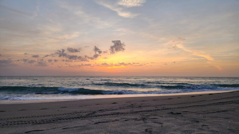 Dog beach - Jupiter, FL