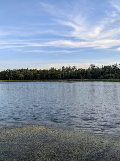 Cypress Creek South Loop - Jupiter, FL
