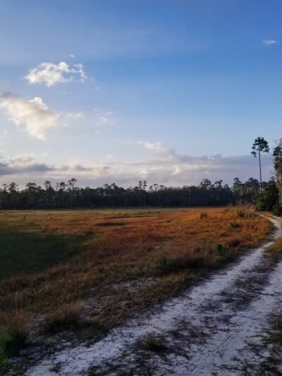 Cypress Creek South Loop - Jupiter, FL