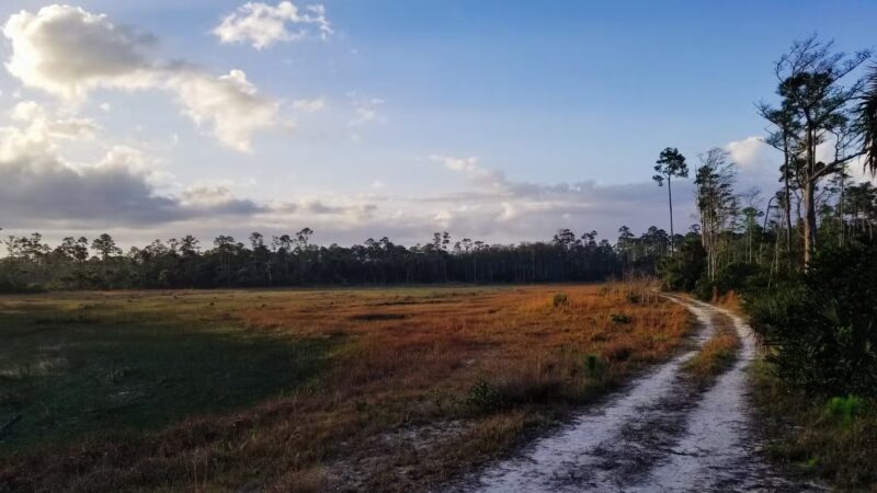 Cypress Creek South Loop - Jupiter, FL