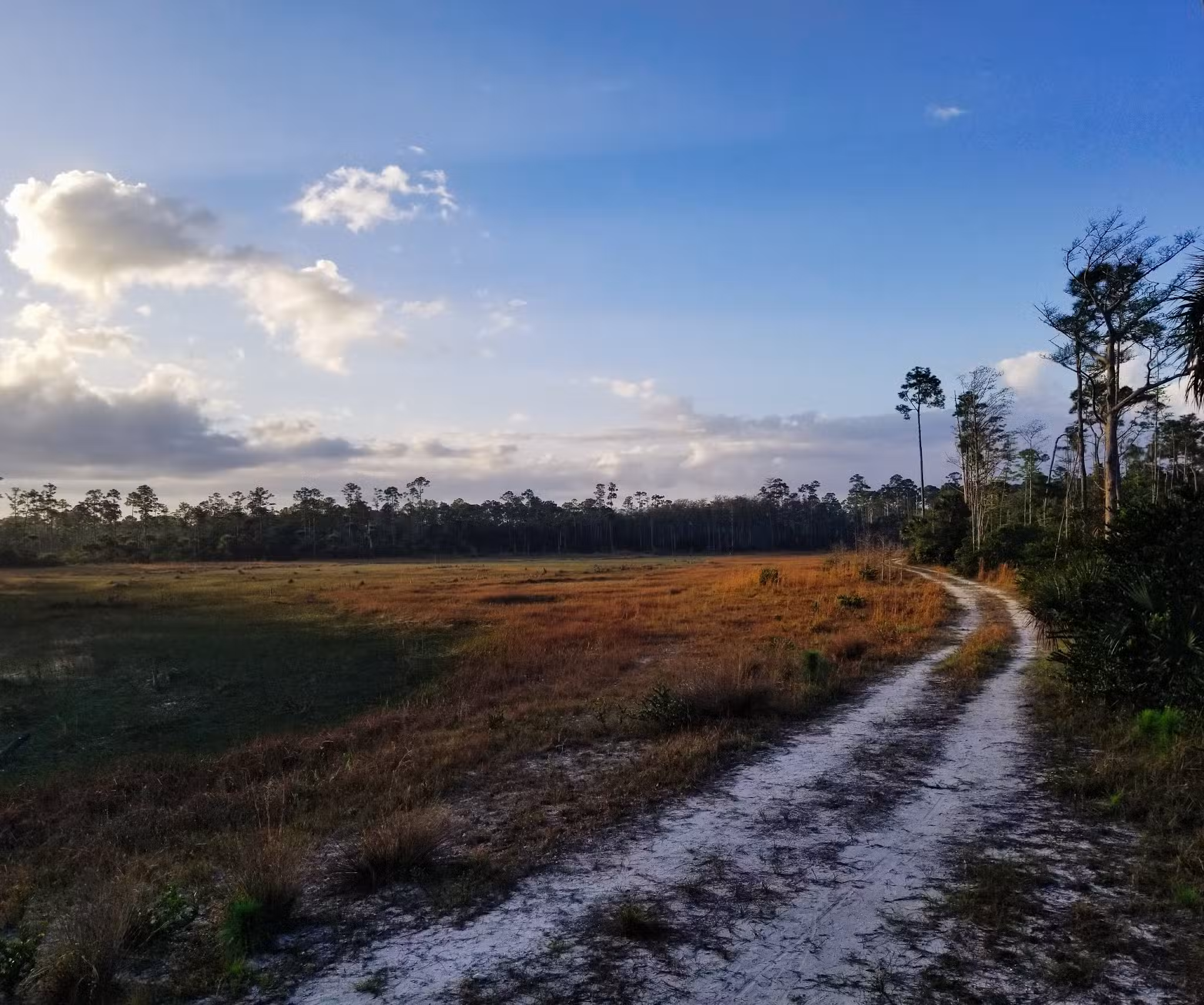 Cypress Creek South Loop - Jupiter, FL