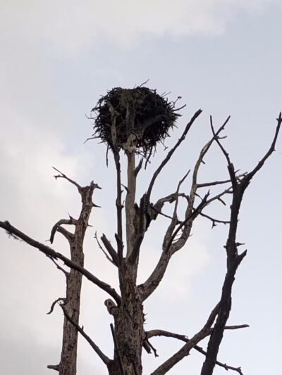 Cypress Creek South Loop - Jupiter, FL