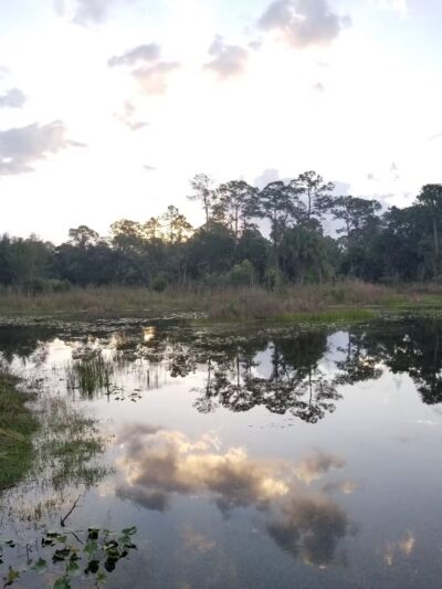 Cypress Creek South Loop - Jupiter, FL