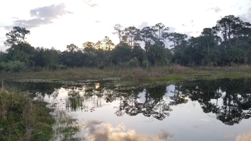 Cypress Creek South Loop - Jupiter, FL