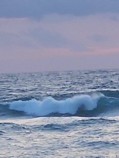 Dog Beach - Jupiter, FL