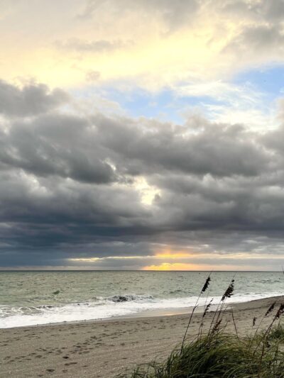 Dog Beach - Jupiter, FL