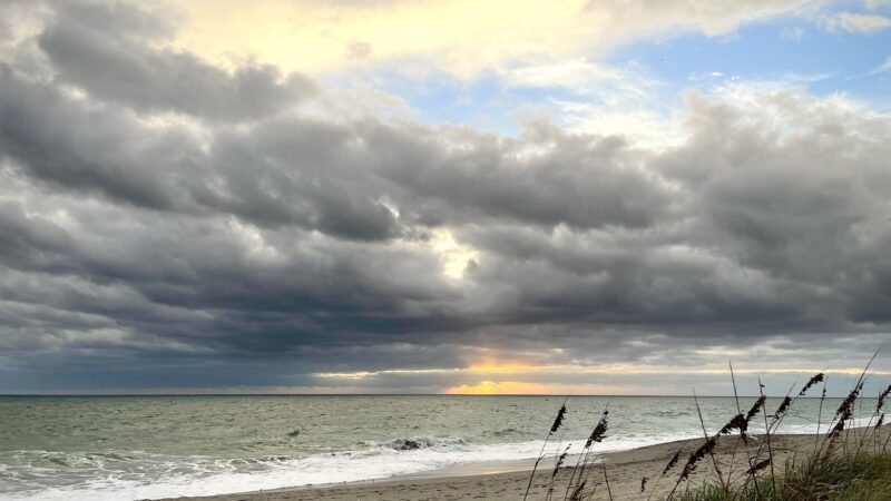 Dog Beach - Jupiter, FL