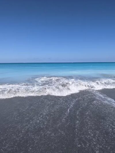 Dog Beach - Jupiter, FL