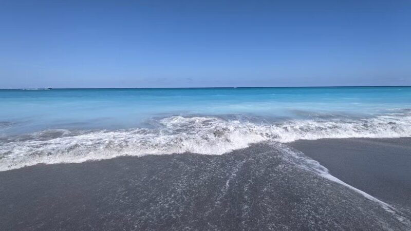 Dog Beach - Jupiter, FL