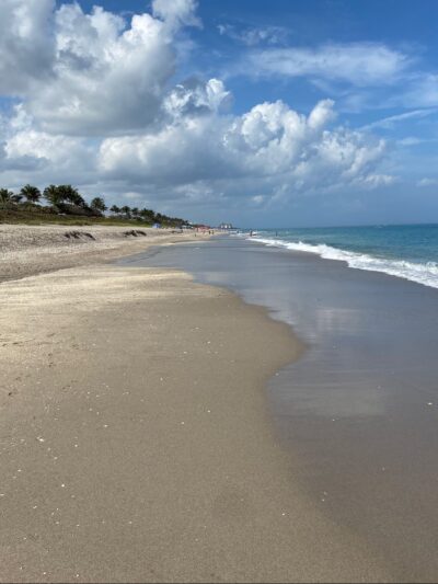 Jupiter Off-Leash Dog Beach - Jupiter, FL