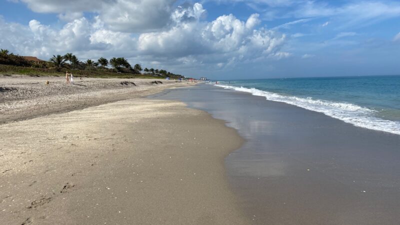 Jupiter Off-Leash Dog Beach - Jupiter, FL