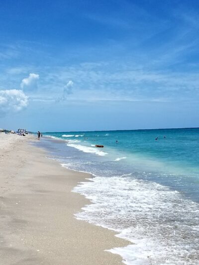 Jupiter Off-Leash Dog Beach - Jupiter, FL