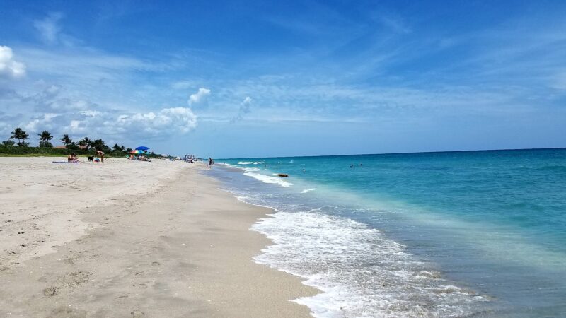 Jupiter Off-Leash Dog Beach - Jupiter, FL