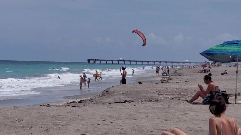 Ladder 38 @ Dog Beach - Jupiter, FL