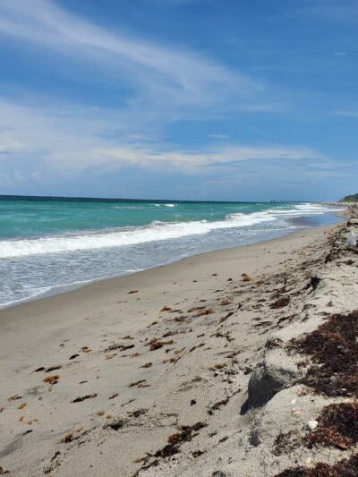 Ladder 38 @ Dog Beach - Jupiter, FL